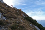 Anello del PIZZO BADILE (2044 m) da Piazzatorre il 21 ottobre 2017 - FOTOGALLERY